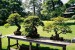 Japonská bonsai zahrada